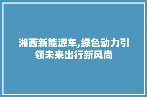 湘西新能源车,绿色动力引领未来出行新风尚