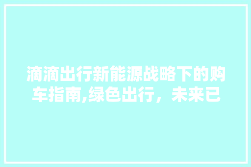 滴滴出行新能源战略下的购车指南,绿色出行，未来已来