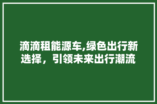 滴滴租能源车,绿色出行新选择，引领未来出行潮流