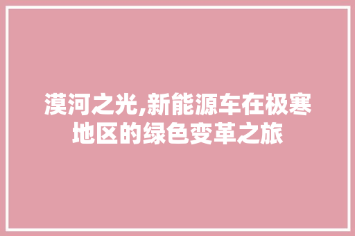 漠河之光,新能源车在极寒地区的绿色变革之旅