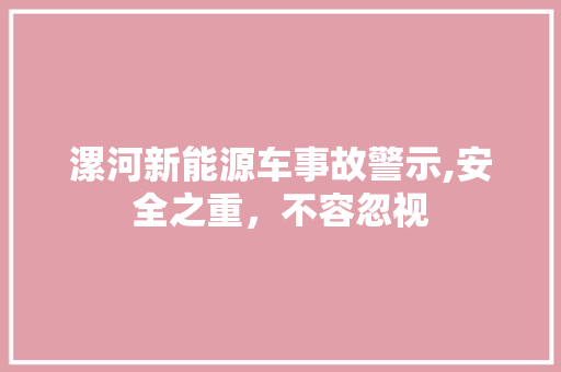 漯河新能源车事故警示,安全之重，不容忽视
