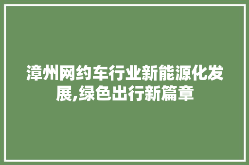 漳州网约车行业新能源化发展,绿色出行新篇章