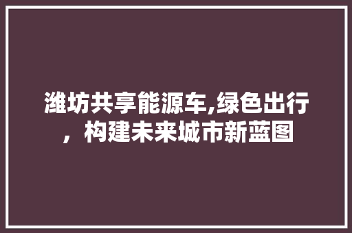 潍坊共享能源车,绿色出行，构建未来城市新蓝图