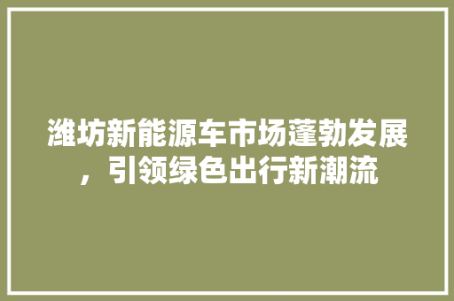 潍坊新能源车市场蓬勃发展，引领绿色出行新潮流