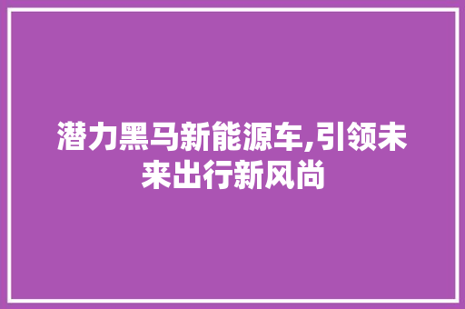 潜力黑马新能源车,引领未来出行新风尚