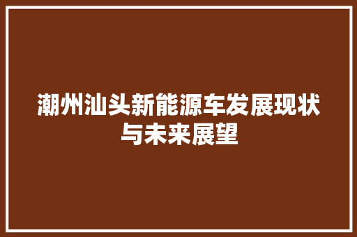 潮州汕头新能源车发展现状与未来展望