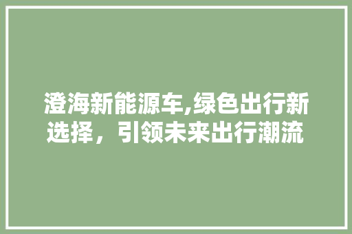 澄海新能源车,绿色出行新选择，引领未来出行潮流