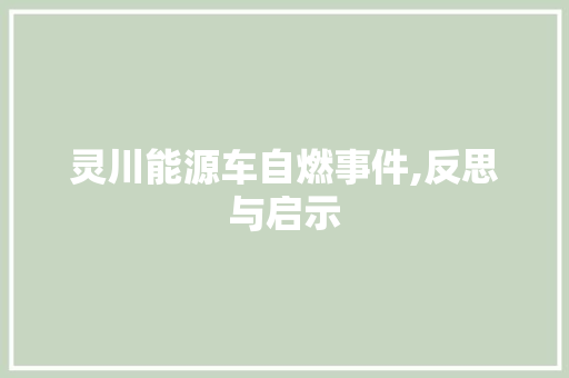 灵川能源车自燃事件,反思与启示