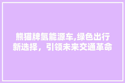 熊猫牌氢能源车,绿色出行新选择，引领未来交通革命