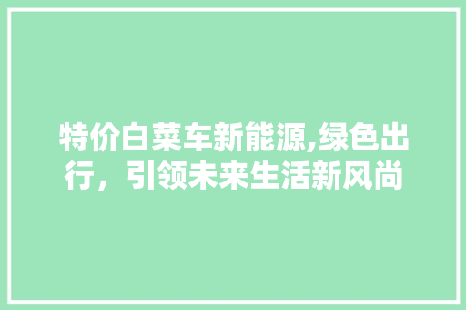 特价白菜车新能源,绿色出行，引领未来生活新风尚