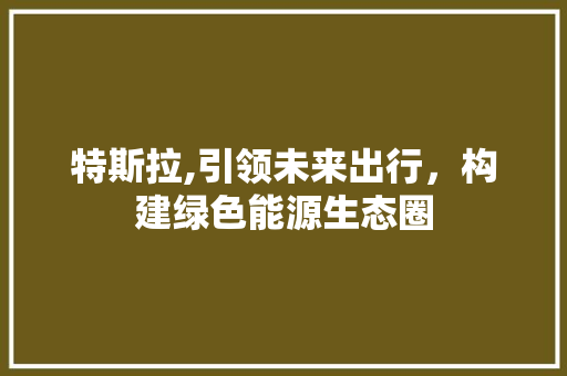 特斯拉,引领未来出行，构建绿色能源生态圈