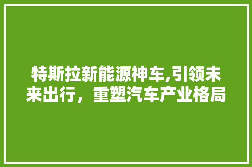 特斯拉新能源神车,引领未来出行，重塑汽车产业格局