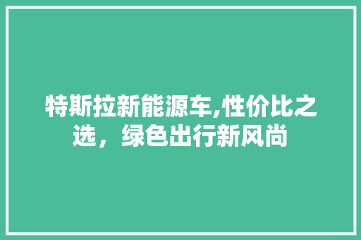 特斯拉新能源车,性价比之选，绿色出行新风尚