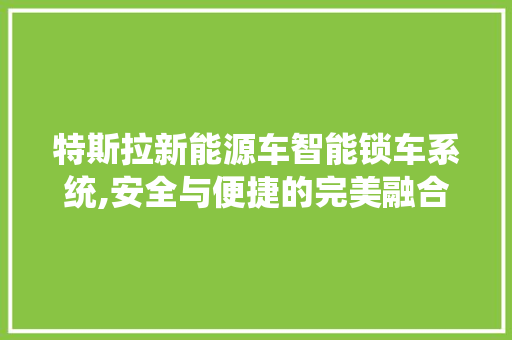 特斯拉新能源车智能锁车系统,安全与便捷的完美融合