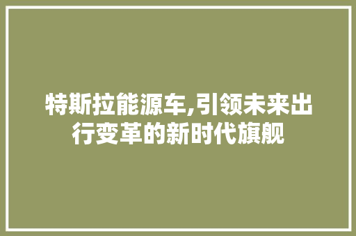 特斯拉能源车,引领未来出行变革的新时代旗舰