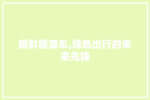 猎豺能源车,绿色出行的未来先锋 车身配件
