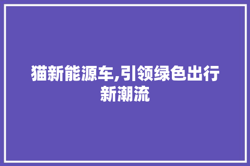 猫新能源车,引领绿色出行新潮流
