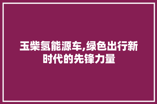 玉柴氢能源车,绿色出行新时代的先锋力量
