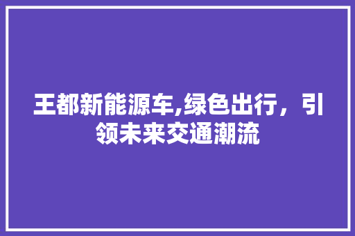 王都新能源车,绿色出行，引领未来交通潮流