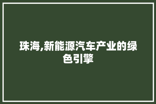 珠海,新能源汽车产业的绿色引擎