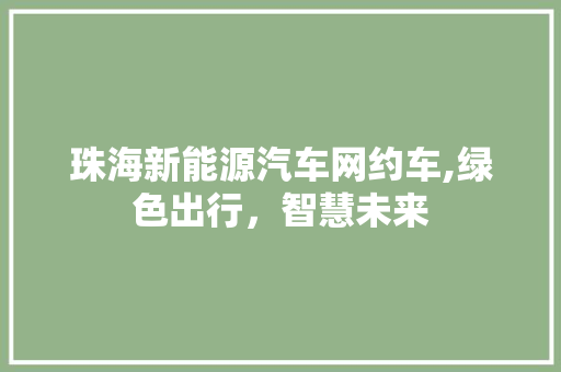 珠海新能源汽车网约车,绿色出行，智慧未来