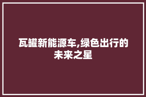 瓦罐新能源车,绿色出行的未来之星