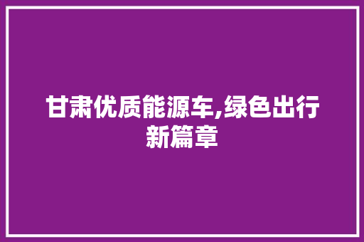 甘肃优质能源车,绿色出行新篇章