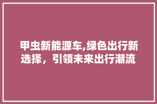 甲虫新能源车,绿色出行新选择，引领未来出行潮流