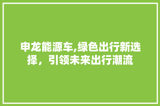 申龙能源车,绿色出行新选择，引领未来出行潮流