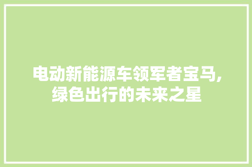 电动新能源车领军者宝马,绿色出行的未来之星