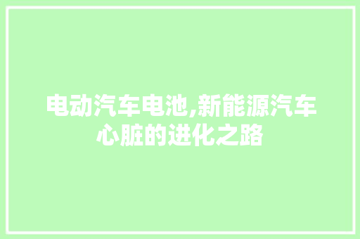 电动汽车电池,新能源汽车心脏的进化之路