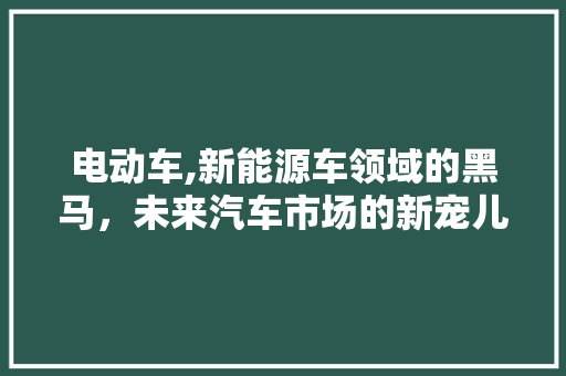 电动车,新能源车领域的黑马，未来汽车市场的新宠儿