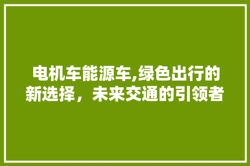 电机车能源车,绿色出行的新选择，未来交通的引领者