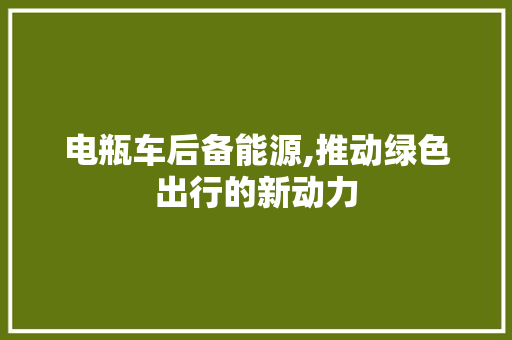 电瓶车后备能源,推动绿色出行的新动力