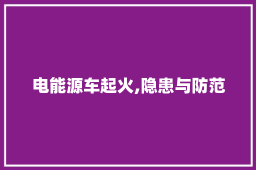 电能源车起火,隐患与防范