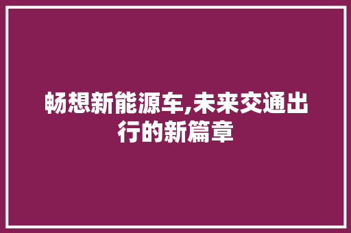 畅想新能源车,未来交通出行的新篇章