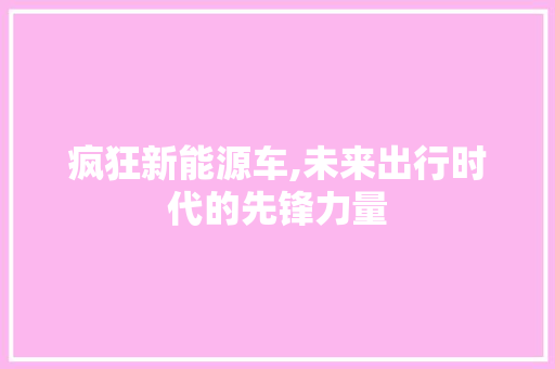 疯狂新能源车,未来出行时代的先锋力量