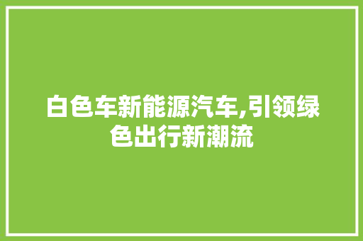 白色车新能源汽车,引领绿色出行新潮流