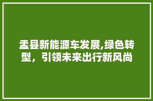盂县新能源车发展,绿色转型，引领未来出行新风尚