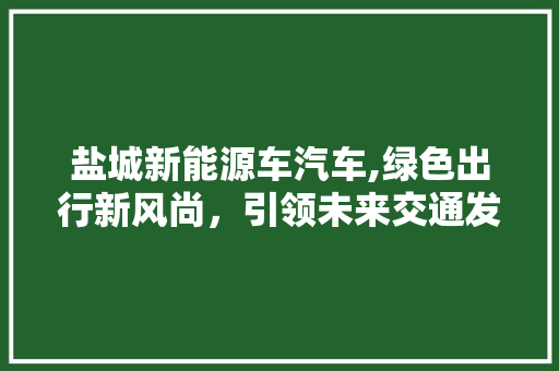 盐城新能源车汽车,绿色出行新风尚，引领未来交通发展