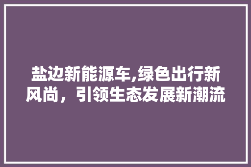 盐边新能源车,绿色出行新风尚，引领生态发展新潮流