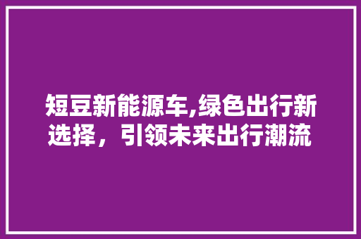 短豆新能源车,绿色出行新选择，引领未来出行潮流