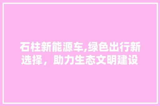 石柱新能源车,绿色出行新选择，助力生态文明建设