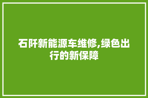 石阡新能源车维修,绿色出行的新保障