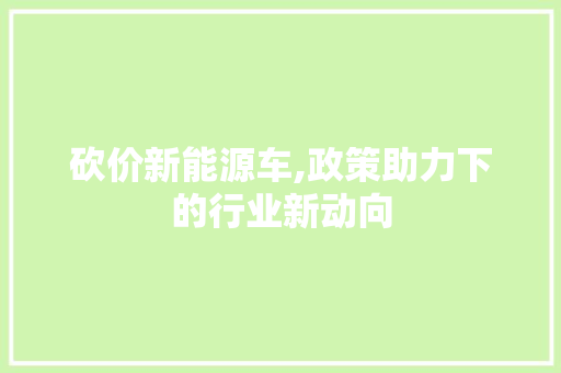砍价新能源车,政策助力下的行业新动向