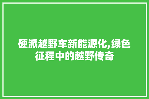 硬派越野车新能源化,绿色征程中的越野传奇