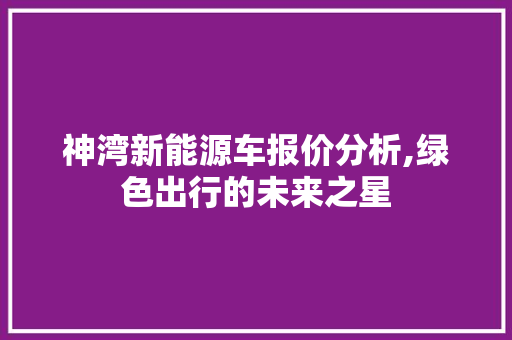 神湾新能源车报价分析,绿色出行的未来之星