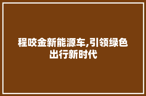 程咬金新能源车,引领绿色出行新时代