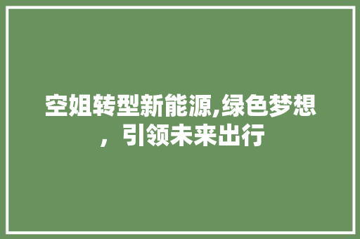 空姐转型新能源,绿色梦想，引领未来出行