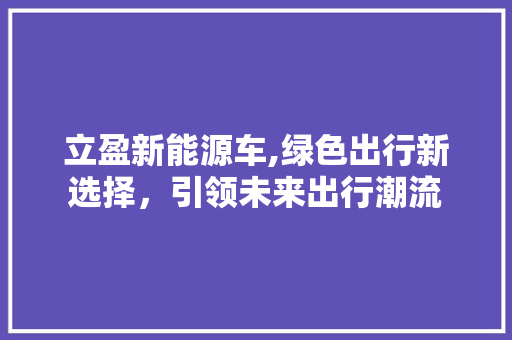 立盈新能源车,绿色出行新选择，引领未来出行潮流